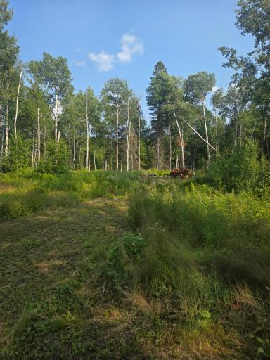 1423 Stone Lake Bridge Road, Brimson, MN 55602