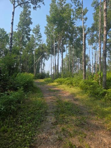 1423 Stone Lake Bridge Road, Brimson, MN 55602