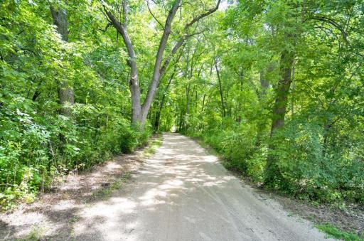 Just one example of the many secluded trails to experience at Lake Rebecca Park Reserve.
