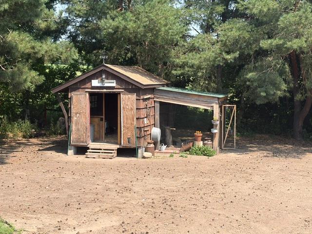 Garden shed converted into a chicken coop, keep at a coop or convert back to garden shed