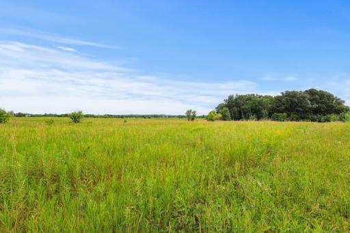 Acres of prairie - no swamp or lowland in these 20 acres!