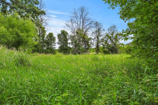 You can almost hear the wind in the grass and birds singing...