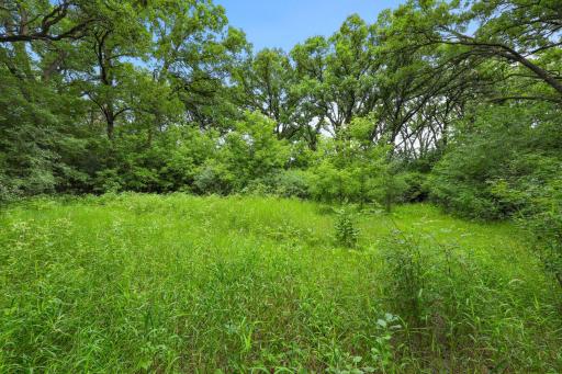These 20 acres of raw land hold great potential