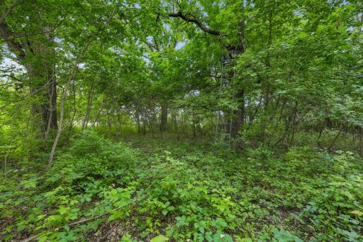 Deer stand has provided years of hunting adventures