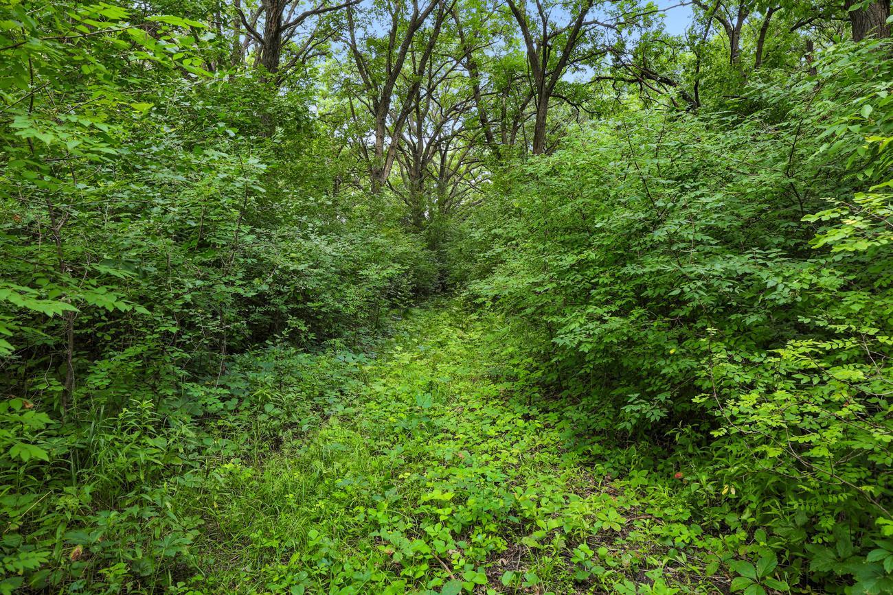 Thick wooded areas matched with acres of open fields