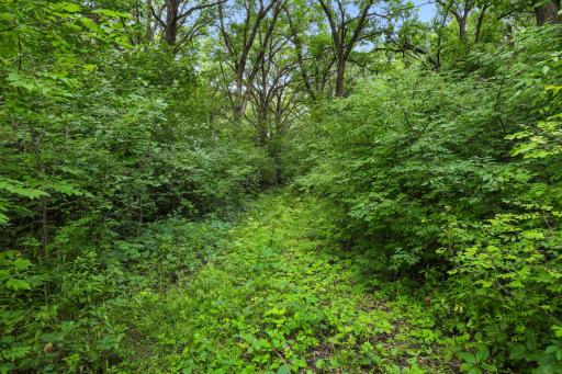 Thick wooded areas matched with acres of open fields