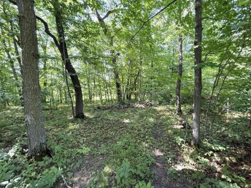 35689 Adams Point Trail, Frazee, MN 56544