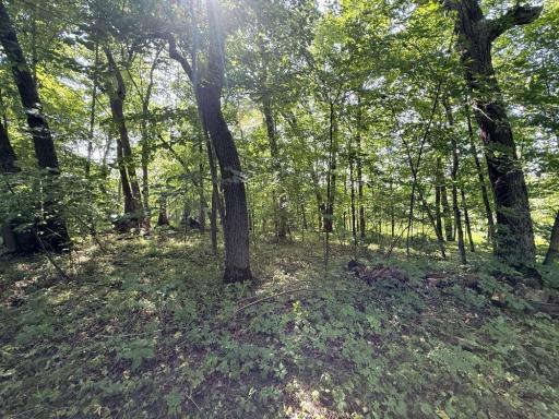 35689 Adams Point Trail, Frazee, MN 56544