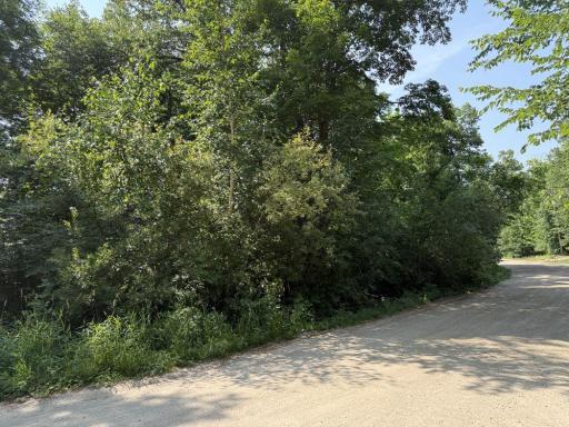 35689 Adams Point Trail, Frazee, MN 56544