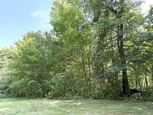 35689 Adams Point Trail, Frazee, MN 56544