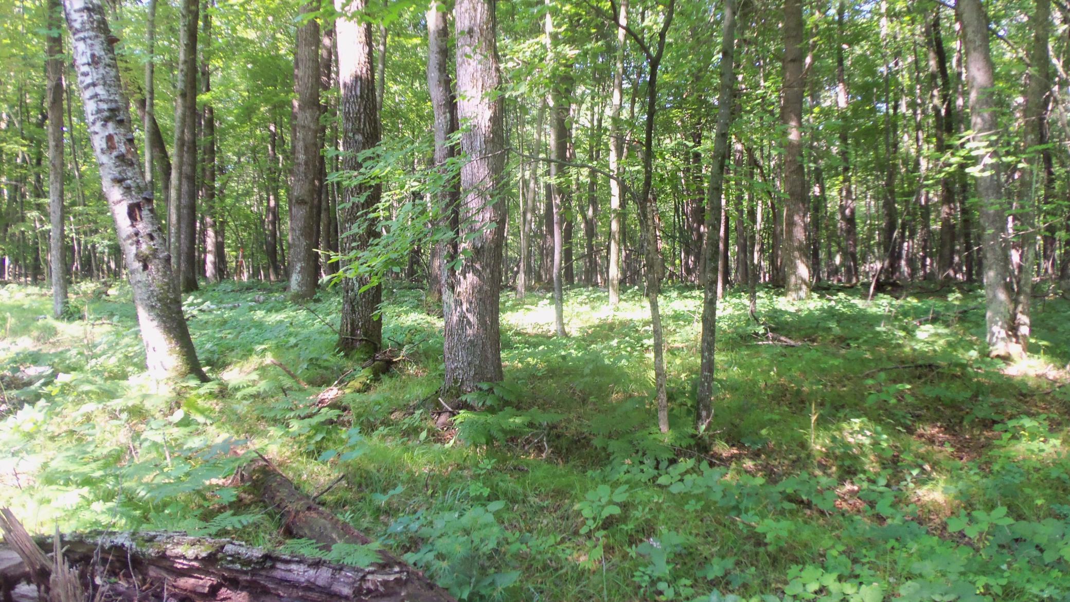 100_6454.JPG
