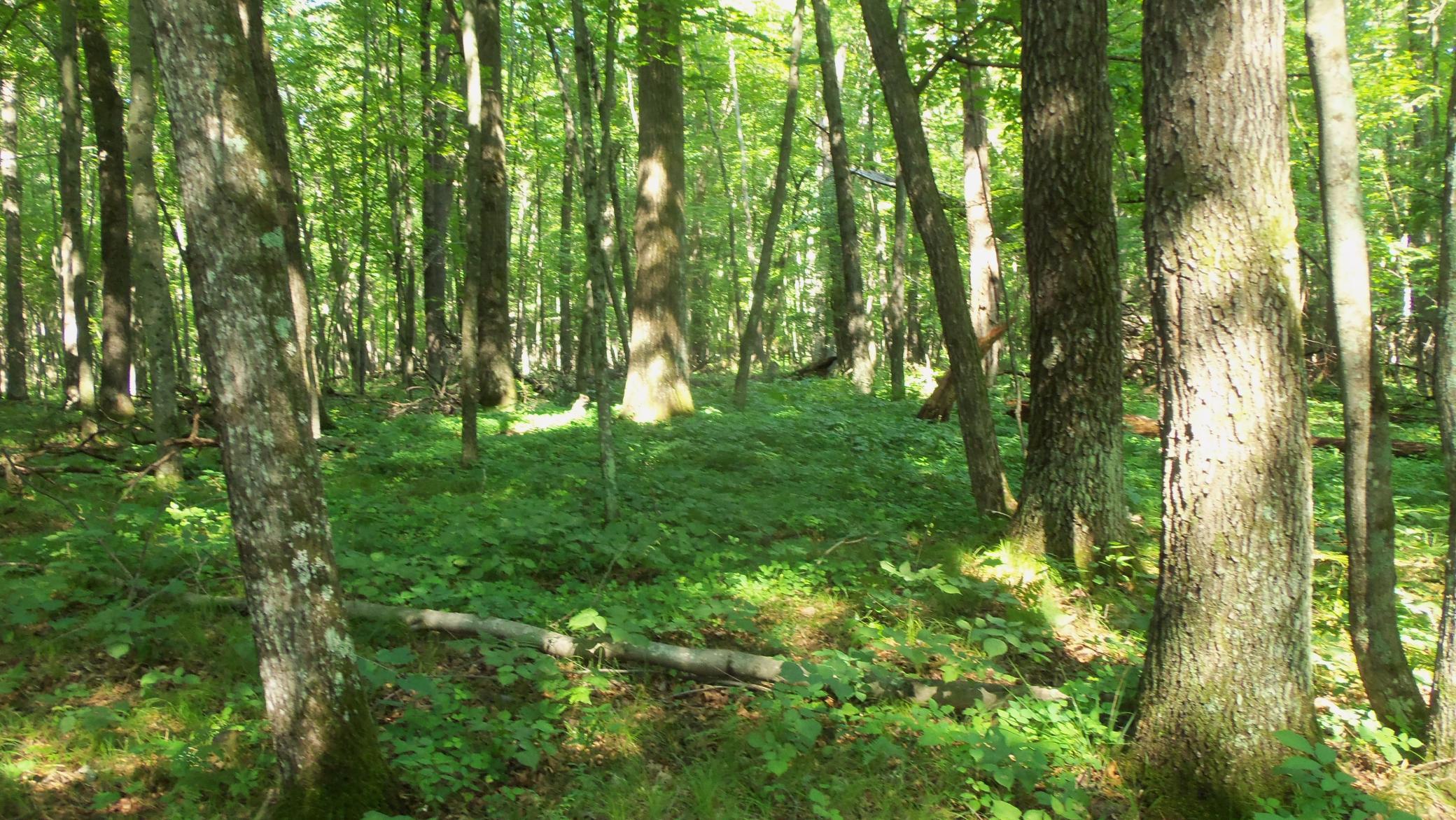 100_6458.JPG