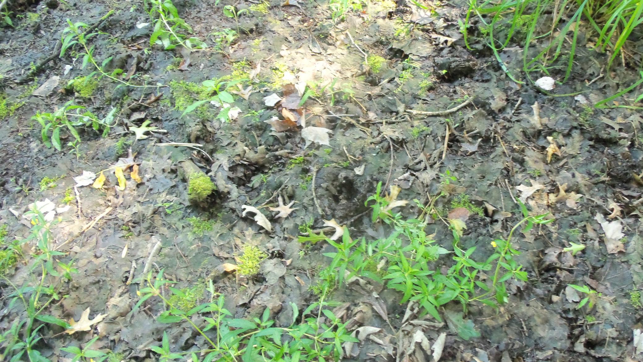 100_6460.JPG