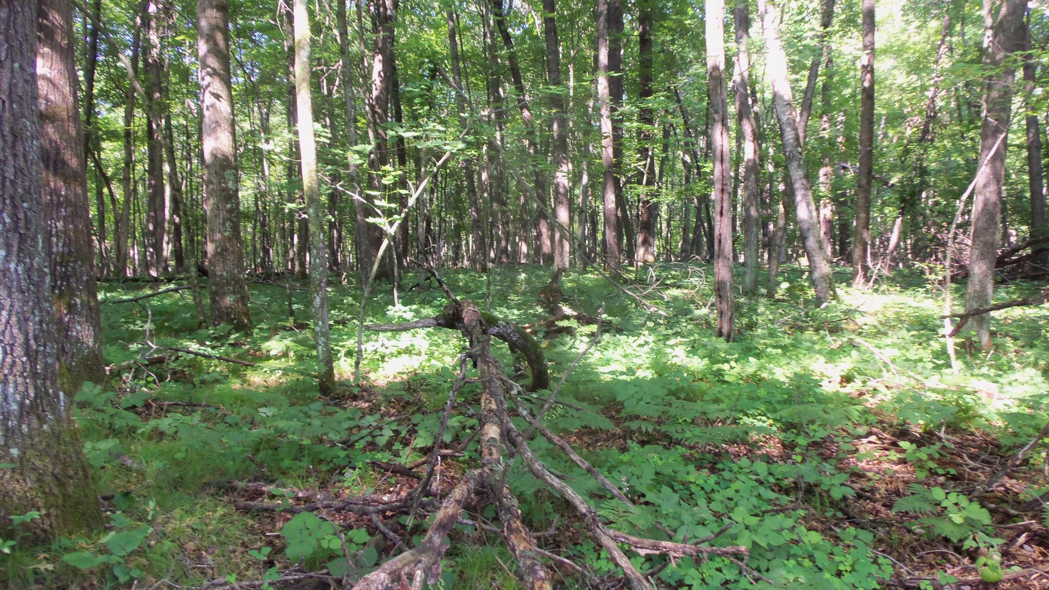 100_6456.JPG
