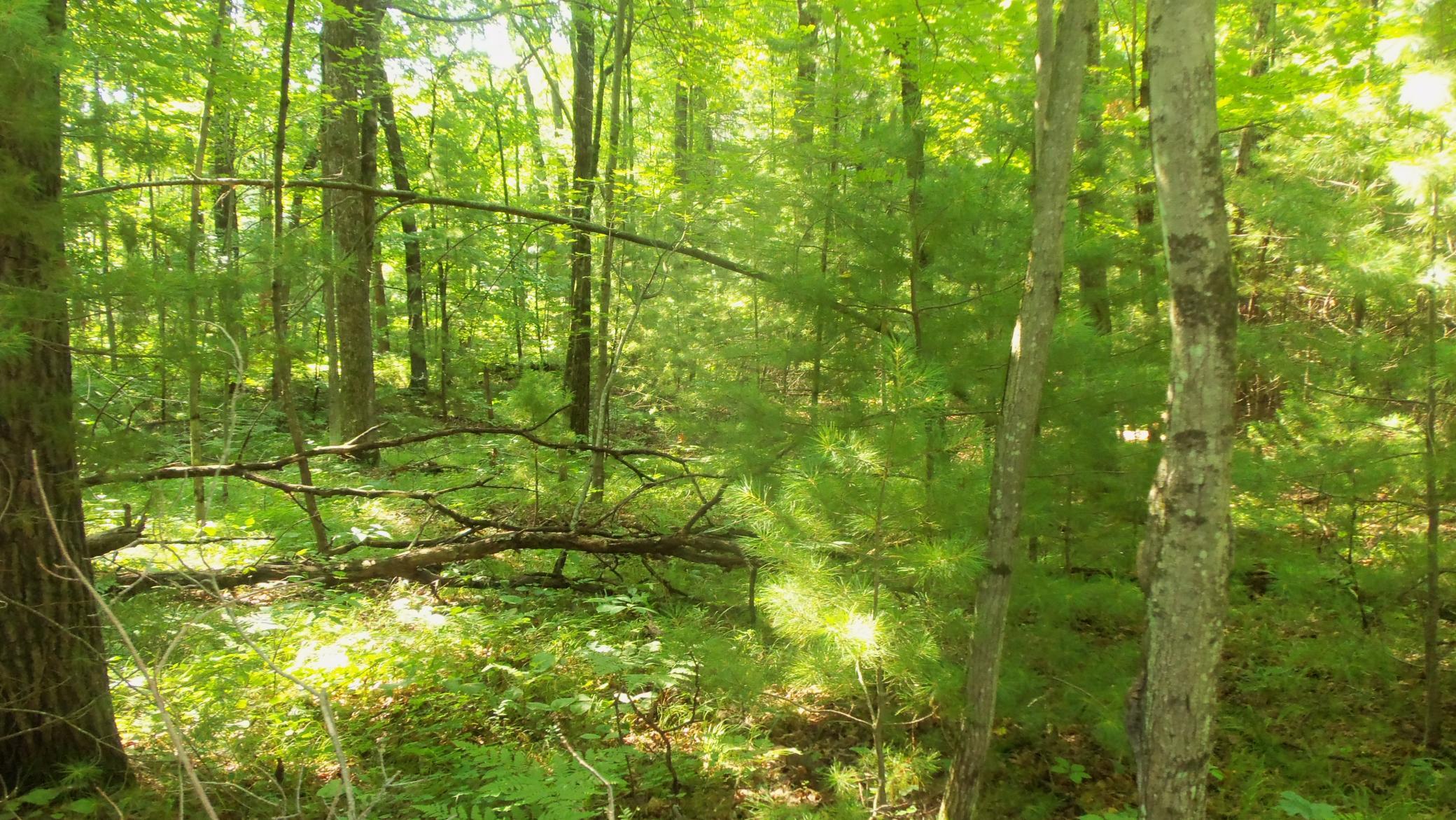 100_6476.JPG