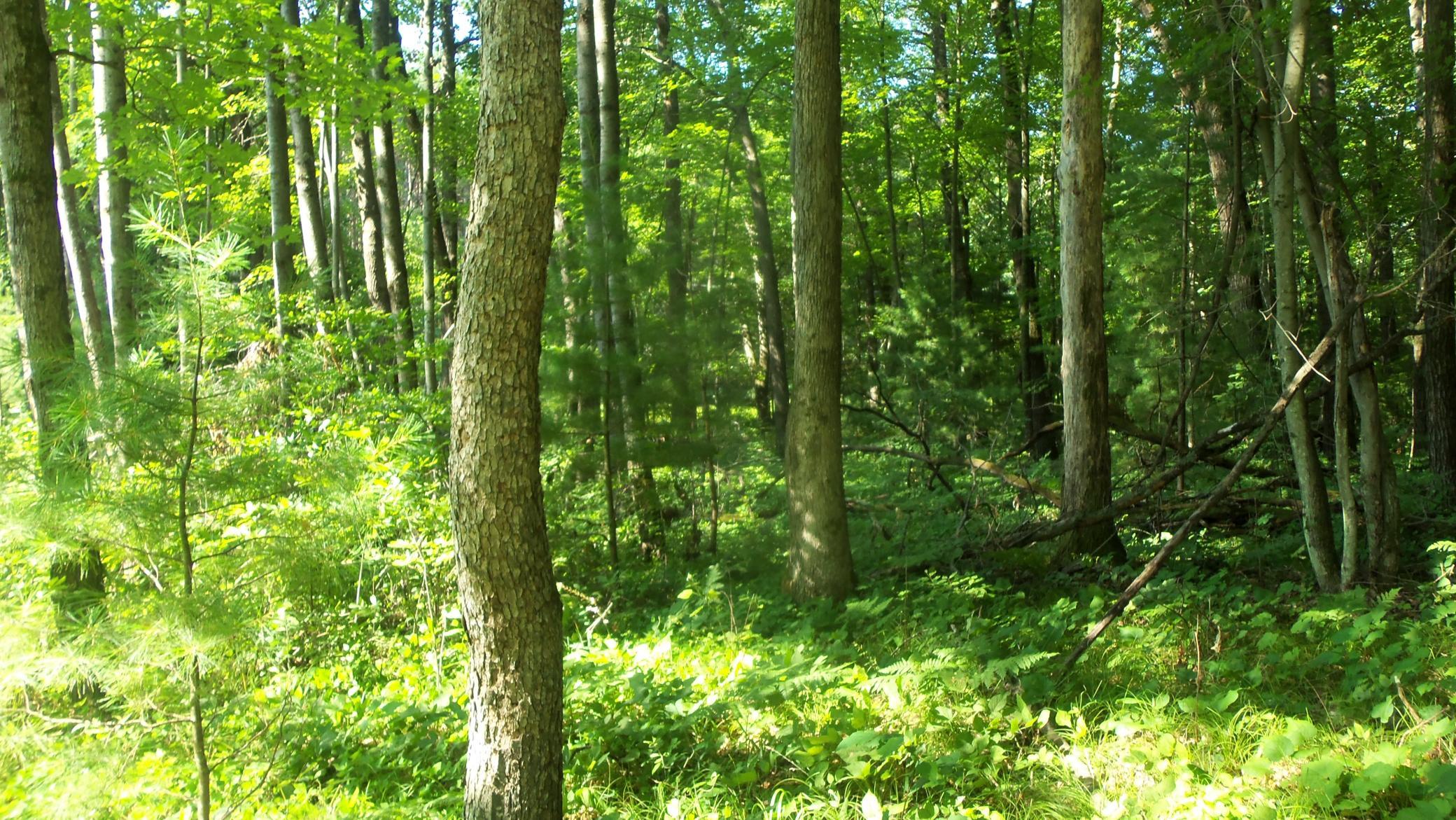 100_6472.JPG