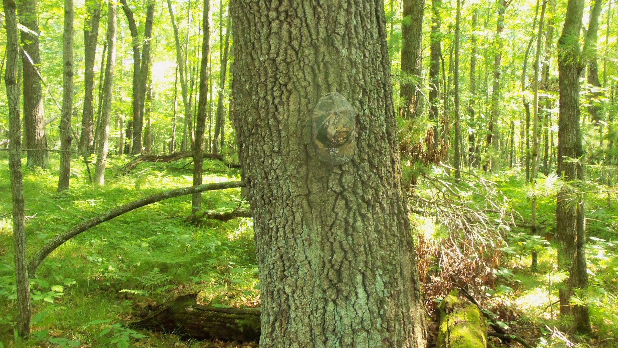 100_6477.JPG