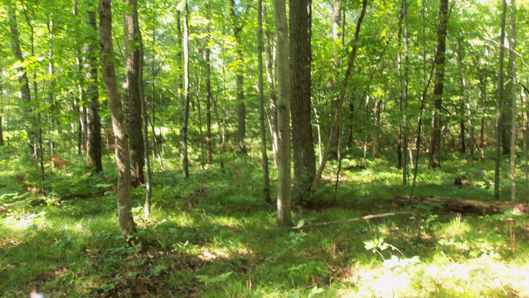 100_6473.JPG