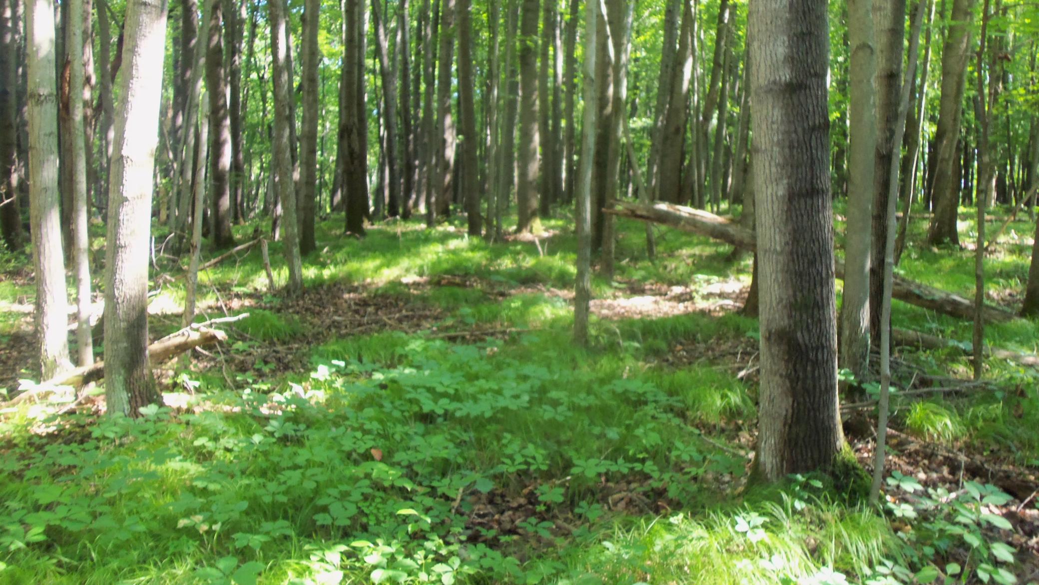 100_6486.JPG