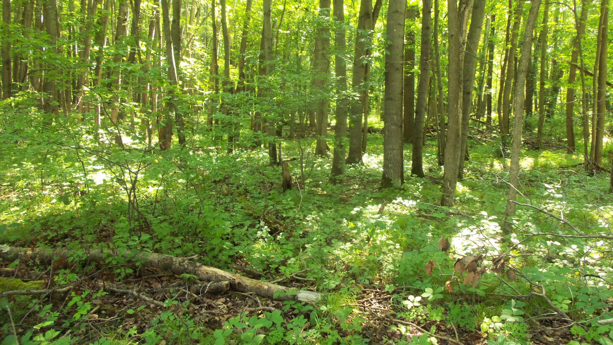 100_6483.JPG