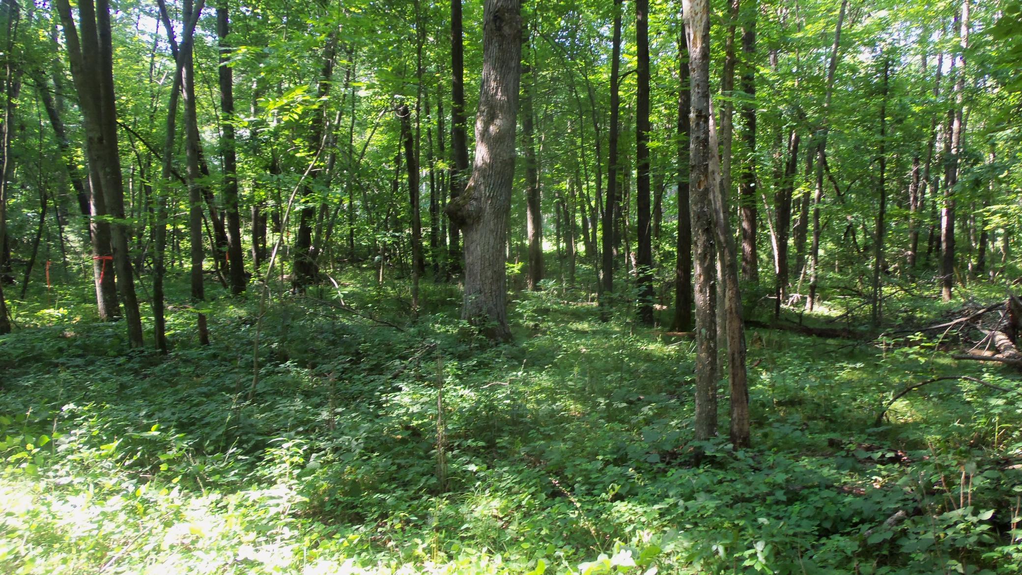 100_6487.JPG