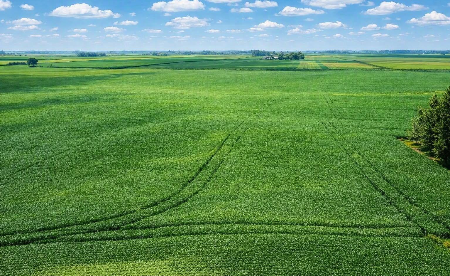 country views