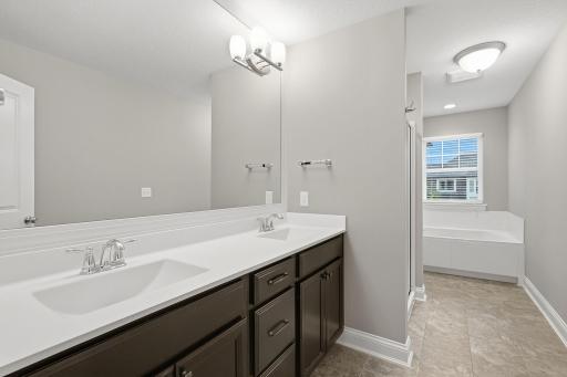 Separate soaking tub and walk-in shower