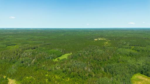 Tract 3 - TBD 259th Ave, Menahga, MN 56464