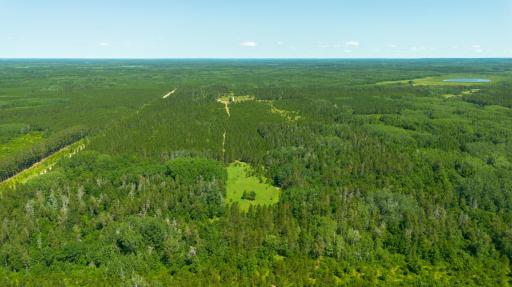 Tract 3 - TBD 259th Ave, Menahga, MN 56464