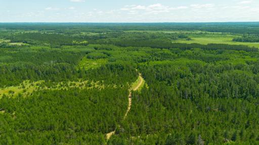 Tract 3 - TBD 259th Ave, Menahga, MN 56464