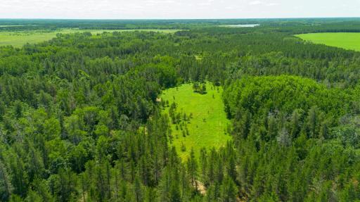 Tract 3 - TBD 259th Ave, Menahga, MN 56464