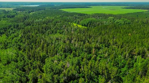 Tract 3 - TBD 259th Ave, Menahga, MN 56464