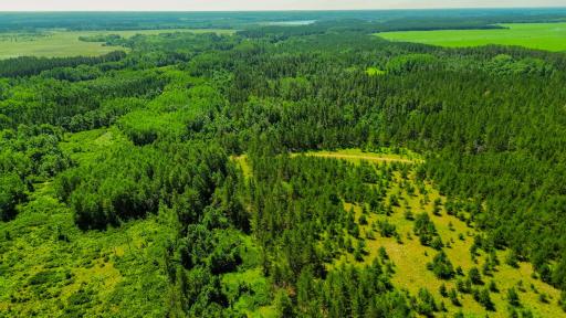 Tract 3 - TBD 259th Ave, Menahga, MN 56464
