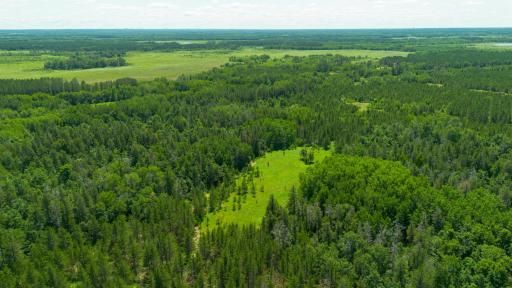Tract 3 - TBD 259th Ave, Menahga, MN 56464