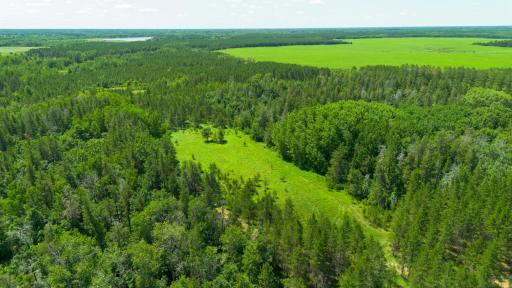 Tract 3 - TBD 259th Ave, Menahga, MN 56464