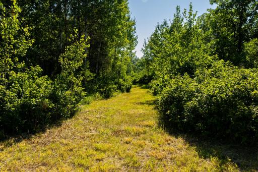 Tract 3 - TBD 259th Ave, Menahga, MN 56464