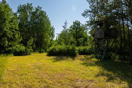 Tract 3 - TBD 259th Ave, Menahga, MN 56464