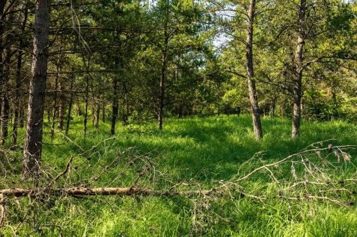Tract 3 - TBD 259th Ave, Menahga, MN 56464