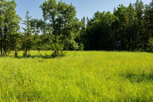 Tract 3 - TBD 259th Ave, Menahga, MN 56464