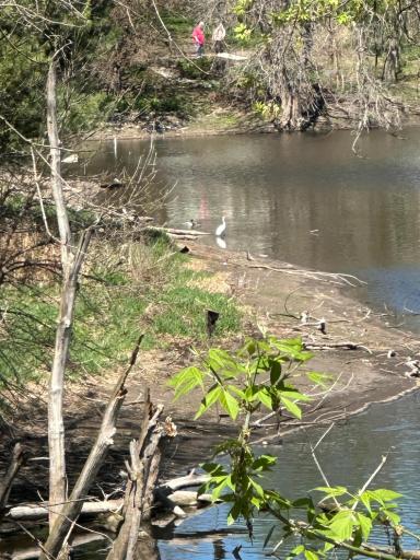 Year round views of nature and wildlife will not dissappoint.