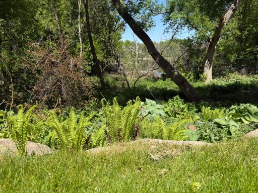 Views of nature and wildlife year-round. Lake views.