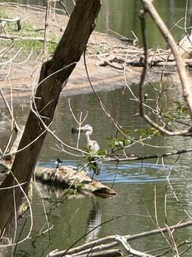 Stunning views of wildlife year-round.