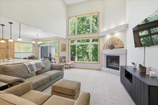 Lake and woods garden, tree-top views, floor to ceiling, vaulted window wall.