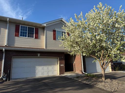 Beautiful spring flowering crabapple tree. l