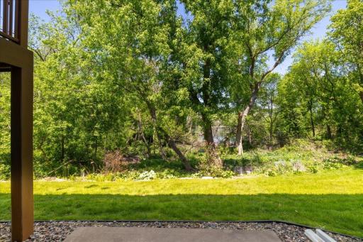 Sleeping beauty nature scene in your backyard, woods garden views, lake views, year-round nature and wild-life.