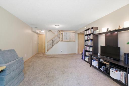 Spacious, walkout basement, family room, huge storage closet not pictured, bathroom, bedroom.