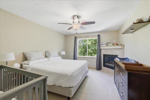 Primary suite with fireplace and luxury bath, walk in closet, tree-top, woods garden, lake views.