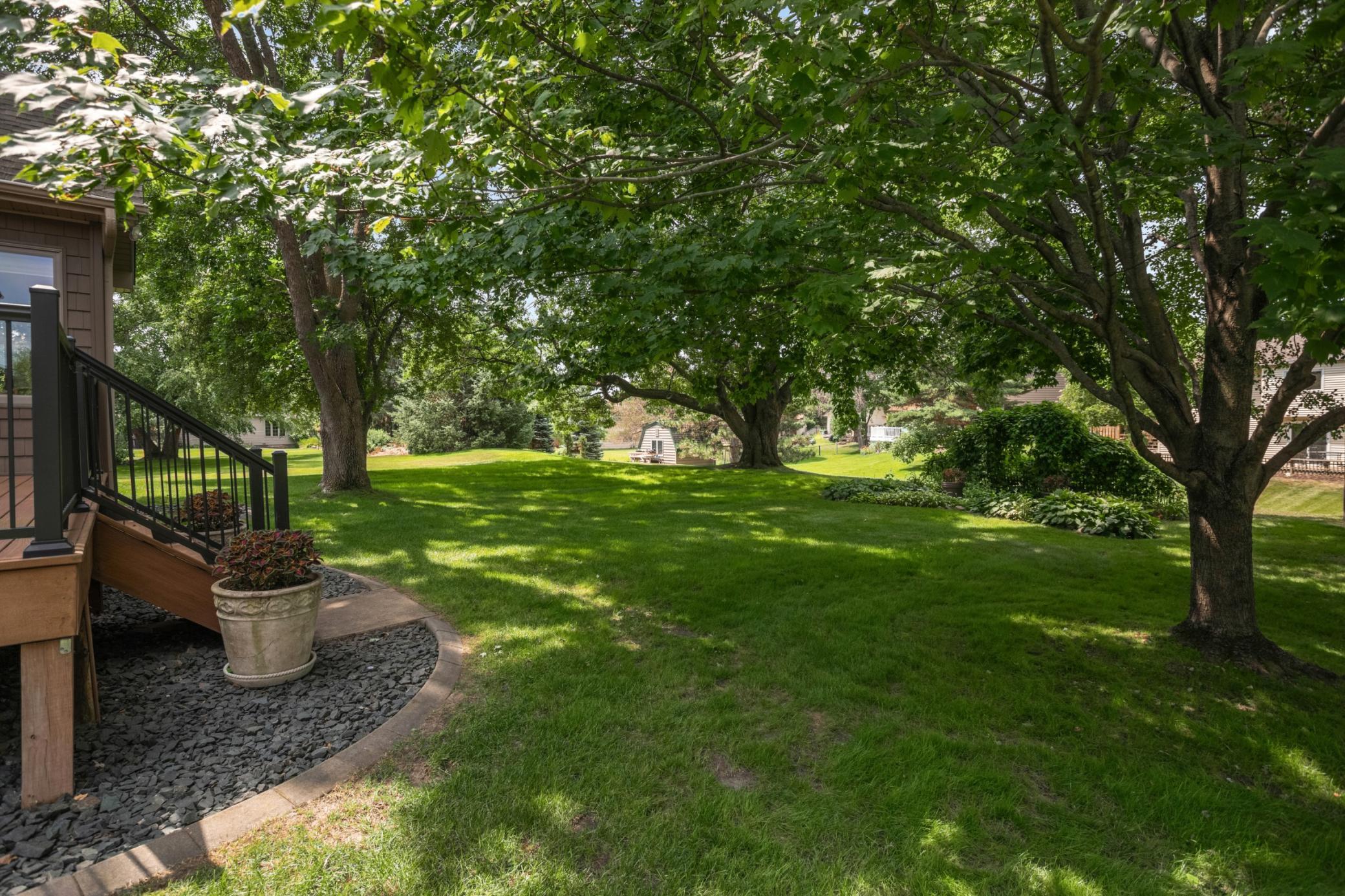 Great lot with mature trees