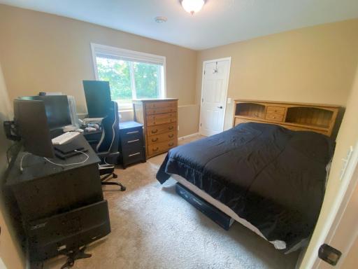 Lower Level Bedroom 3