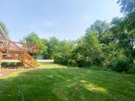 Tree Lined Backyard